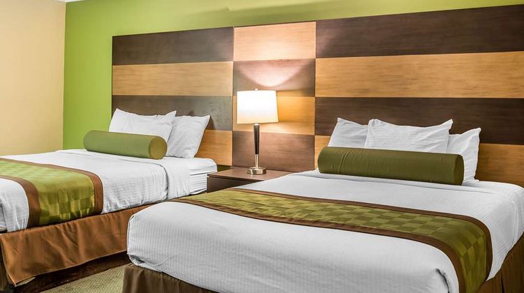Rodeway Inn & Suites Canyon Lake Suite