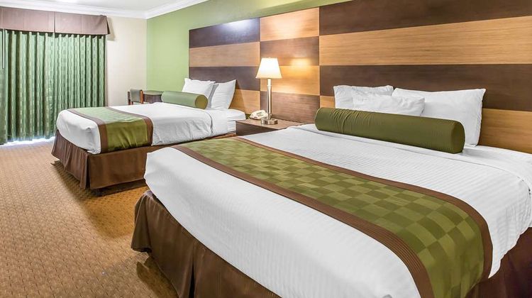 Rodeway Inn & Suites Canyon Lake Room