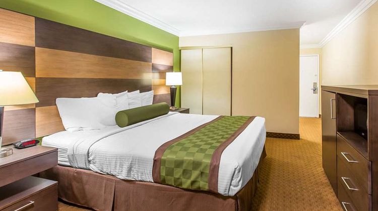 Rodeway Inn & Suites Canyon Lake Room