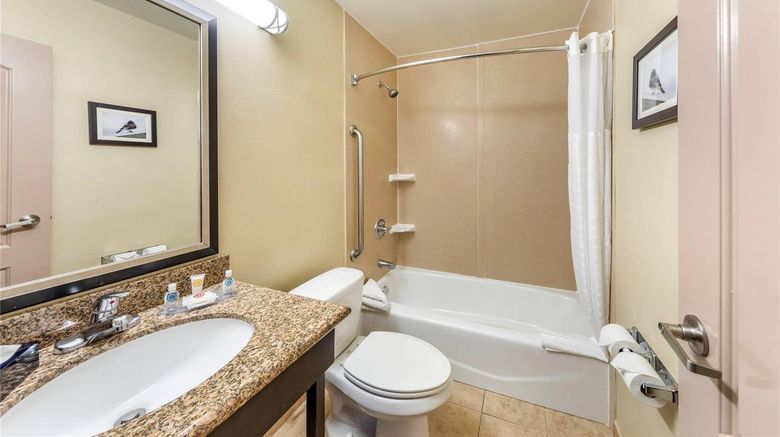 <b>Comfort Inn & Suites San Bernardino Room</b>. Images powered by <a href="https://iceportal.shijigroup.com/" title="IcePortal" target="_blank">IcePortal</a>.