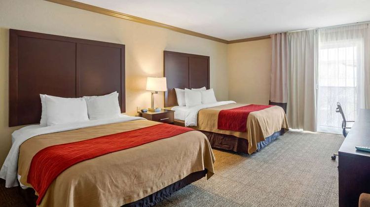 Comfort Inn Castro Valley Room