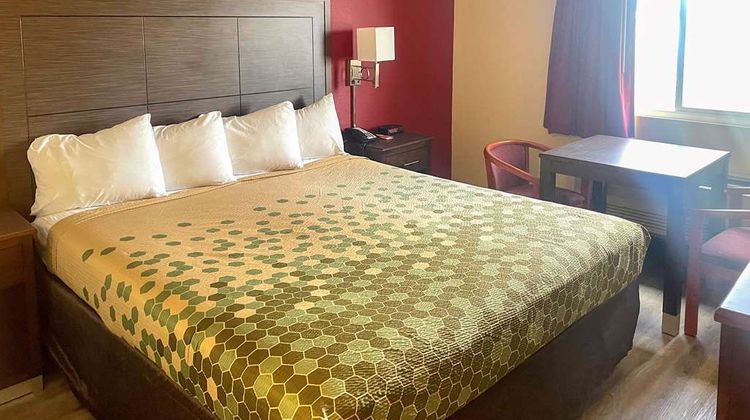 Econo Lodge Inn & Suites Room