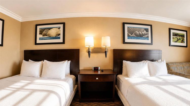 The Volare, an Ascend Hotel Coll Member Room