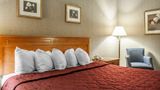 <b>Comfort Inn Lundy's Lane Room</b>. Images powered by <a href="https://iceportal.shijigroup.com/" title="IcePortal" target="_blank">IcePortal</a>.