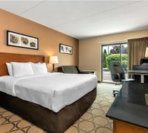 Comfort Inn Brandon Room