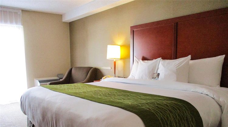Comfort Inn Dartmouth Room