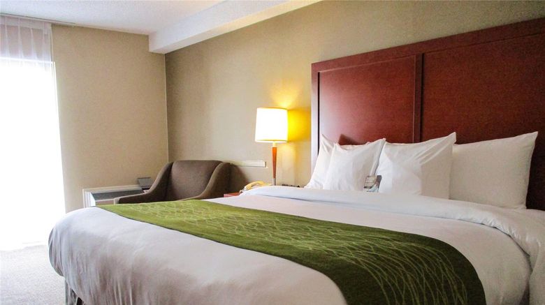 <b>Comfort Inn Dartmouth Room</b>. Images powered by <a href="https://iceportal.shijigroup.com/" title="IcePortal" target="_blank">IcePortal</a>.
