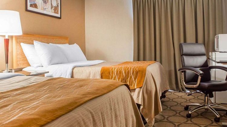 Comfort Inn Room