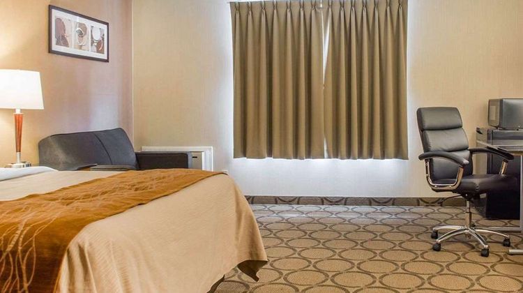 Comfort Inn Room