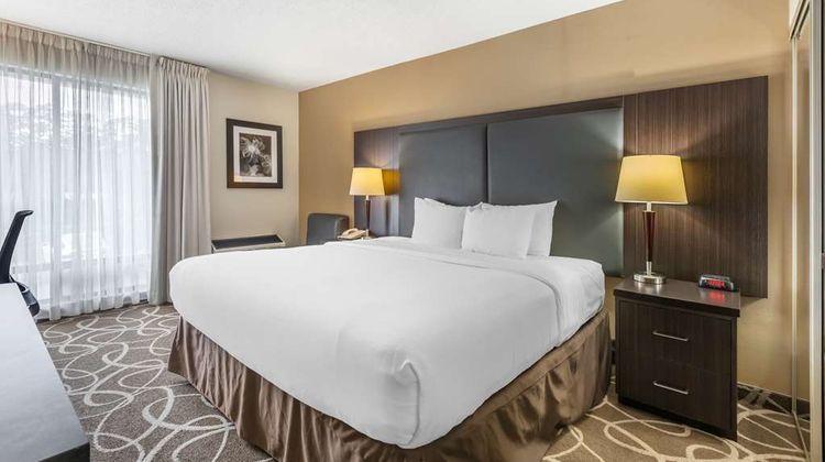 Comfort Inn Room