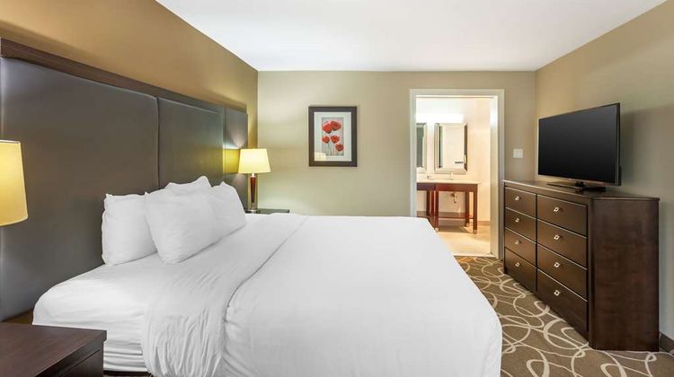 Comfort Inn Suite