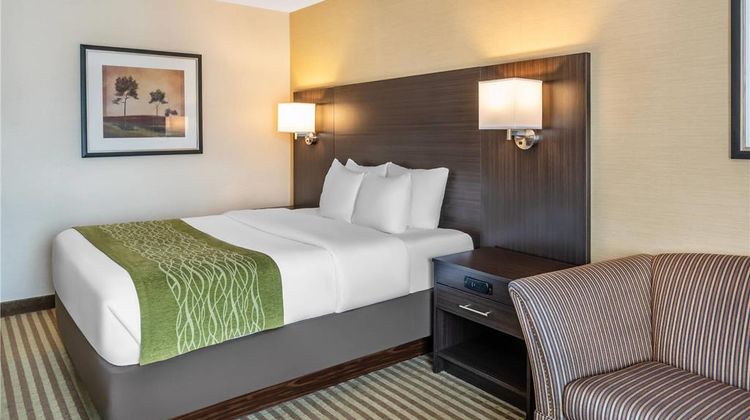 Comfort Inn Room