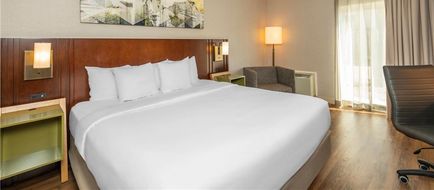 Comfort Inn Dryden Room