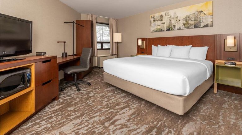 <b>Comfort Inn Dryden Room</b>. Images powered by <a href="https://iceportal.shijigroup.com/" title="IcePortal" target="_blank">IcePortal</a>.