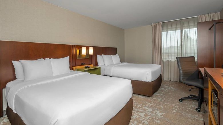 <b>Comfort Inn Dryden Room</b>. Images powered by <a href="https://iceportal.shijigroup.com/" title="IcePortal" target="_blank">IcePortal</a>.
