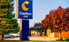 Comfort Inn