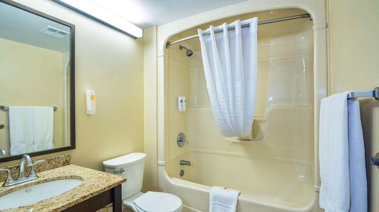 Comfort Inn Room