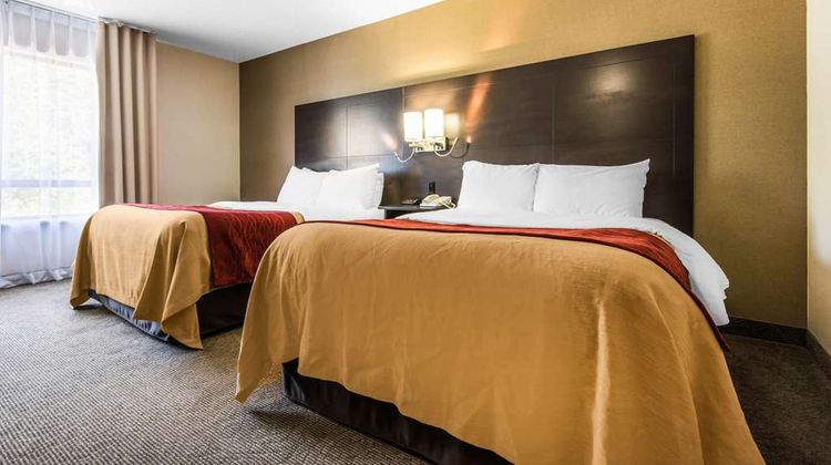 Comfort Inn Room
