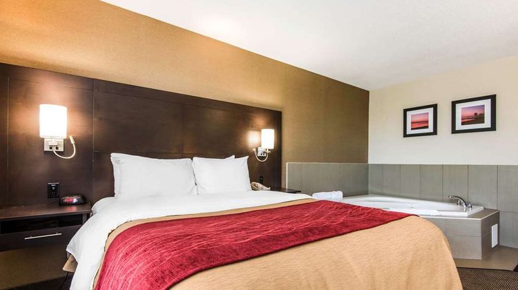 Comfort Inn Room