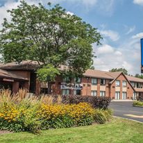 Comfort Inn