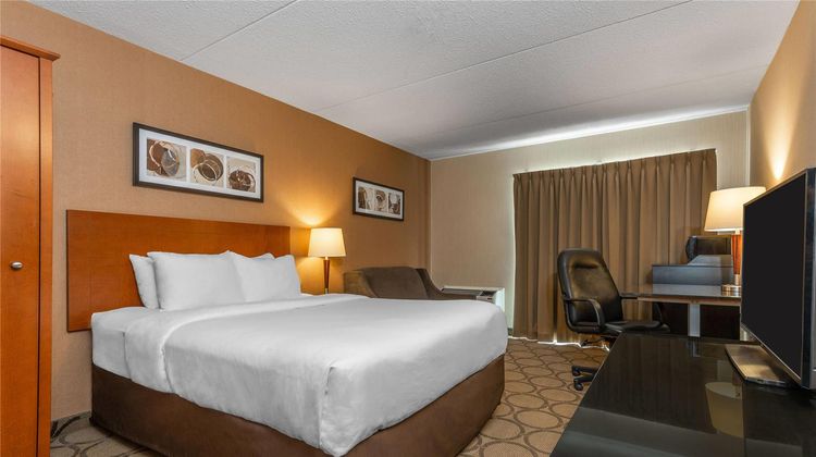 Comfort Inn Room