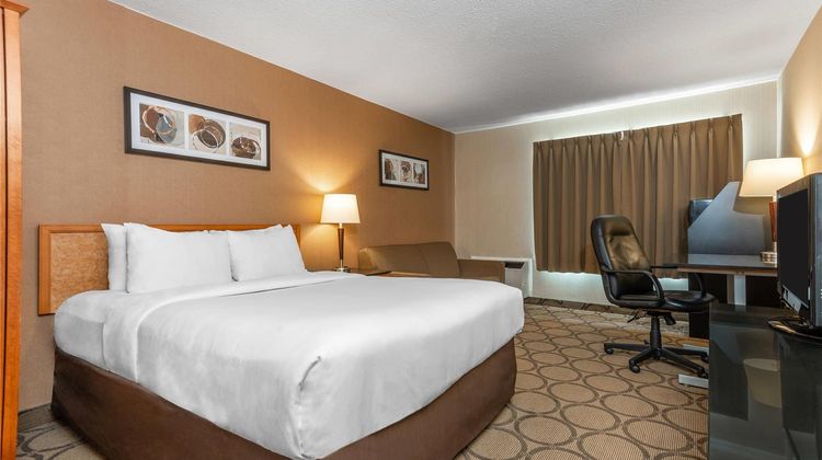 Comfort Inn Room