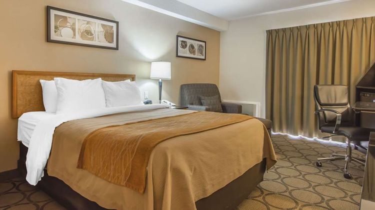 Comfort Inn Magnetic Hill Room