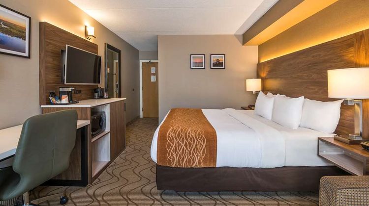 Comfort Inn Room