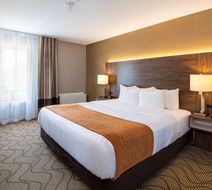 Comfort Inn Room