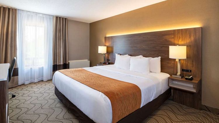 Comfort Inn Room