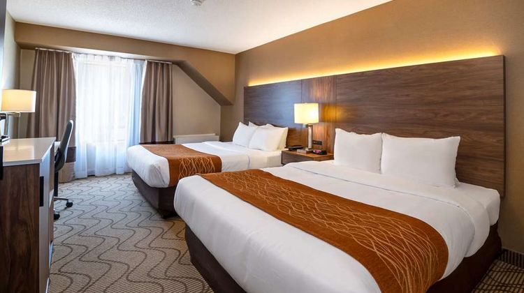 Comfort Inn Room