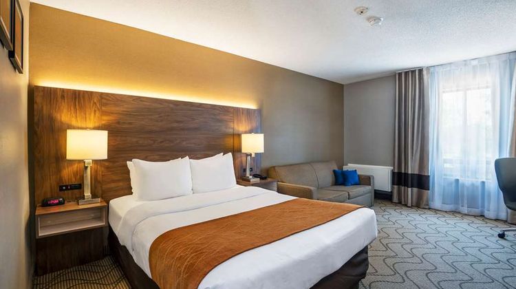 Comfort Inn Room