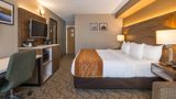 Comfort Inn Room