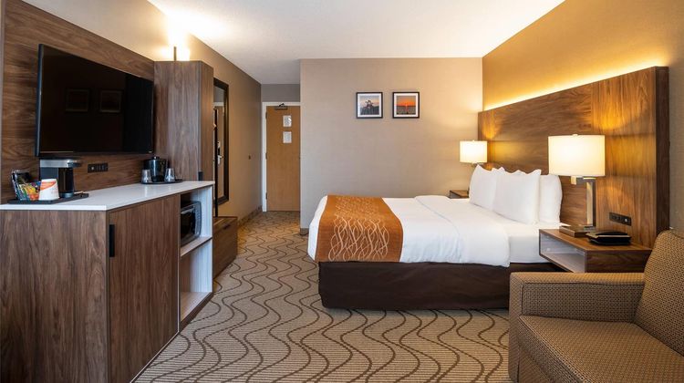 Comfort Inn Room