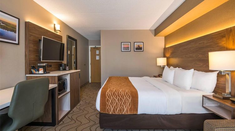 Comfort Inn Room