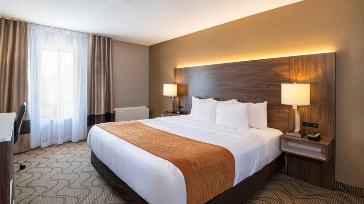 Comfort Inn Room