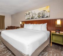 Comfort Inn - Ottawa Room