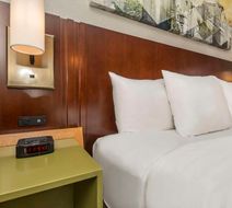 Comfort Inn Room
