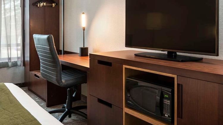 Comfort Inn Suite