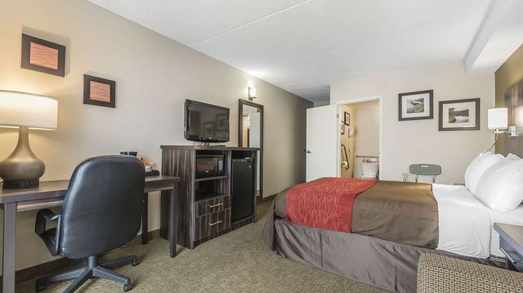 Comfort Inn Room