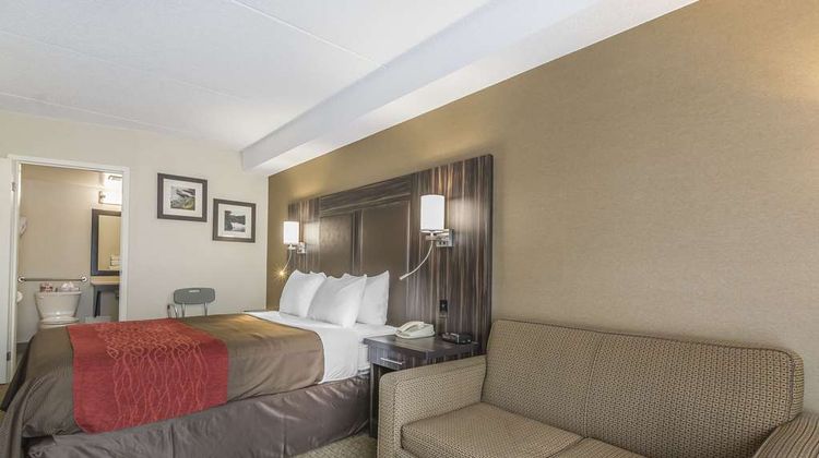 Comfort Inn Room