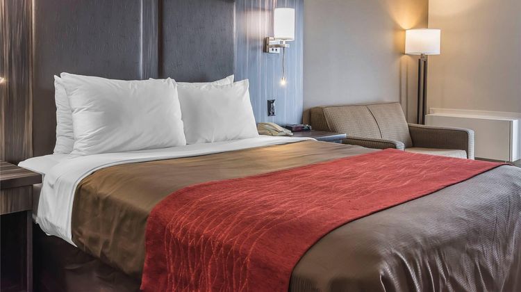Comfort Inn Room
