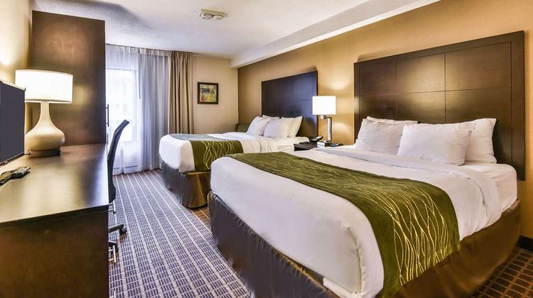Comfort Inn Room
