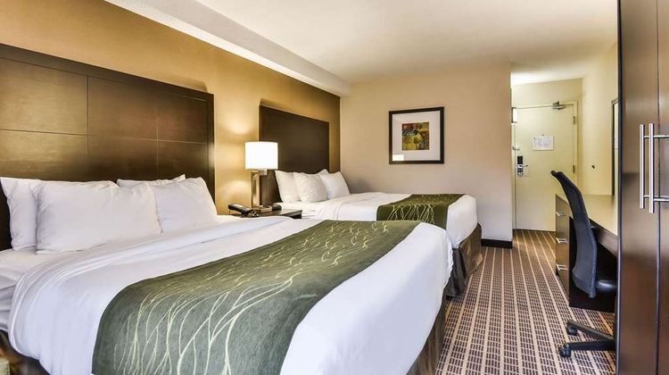 Comfort Inn Room