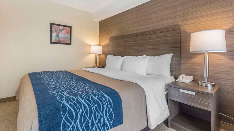 <b>Comfort Inn Levis Room</b>. Images powered by <a href="https://iceportal.shijigroup.com/" title="IcePortal" target="_blank">IcePortal</a>.