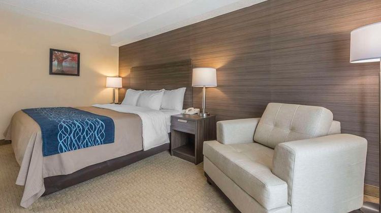 Comfort Inn Levis Room