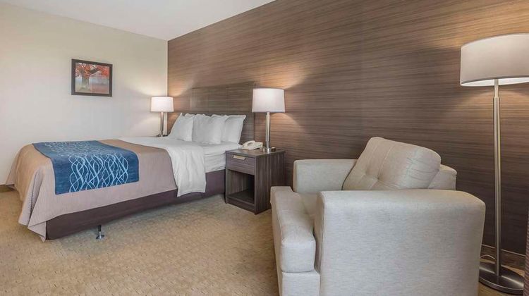 Comfort Inn Levis Room