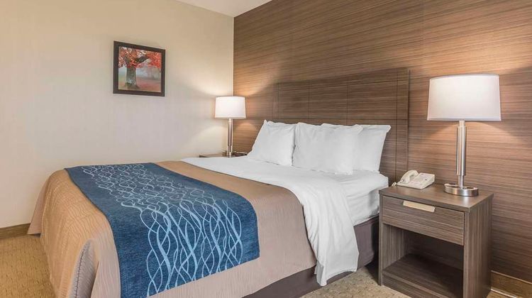 Comfort Inn Levis Room