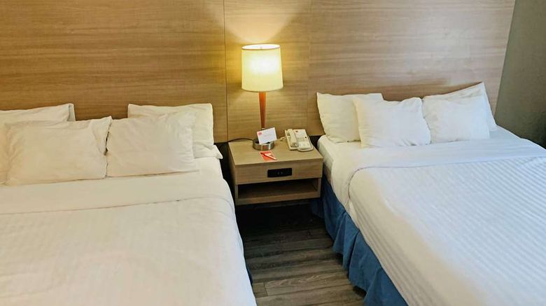 <b>Econo Lodge Airport Ste Foy Room</b>. Images powered by <a href="https://iceportal.shijigroup.com/" title="IcePortal" target="_blank">IcePortal</a>.