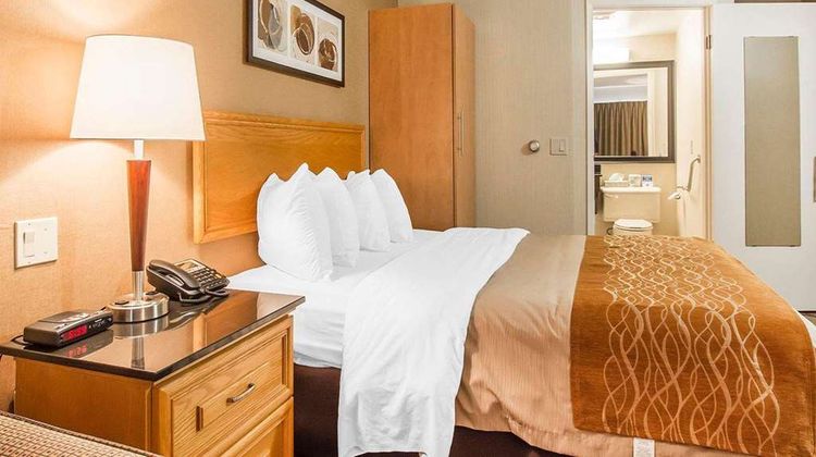 Comfort Inn Room